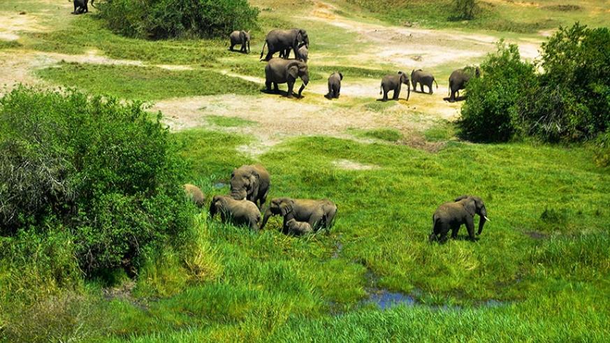 3 Days Akagera Wildlife Safari
