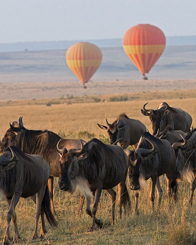10 Days Kenya and Rwanda
