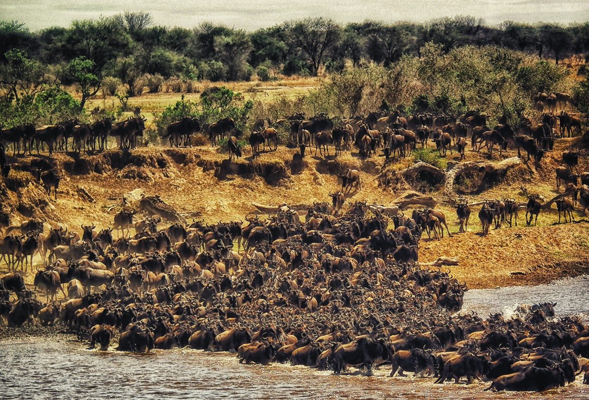 5 Day Kenya Beautiful Road Trip