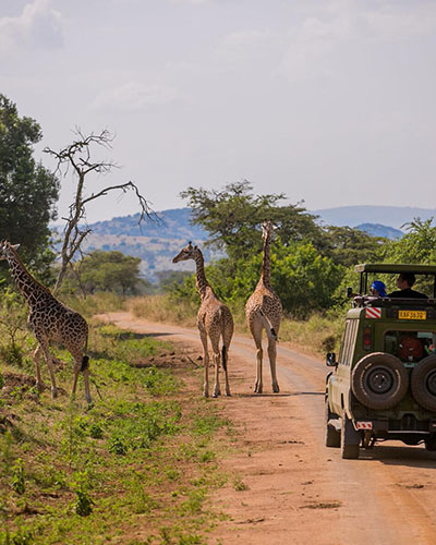 Akagera National Park