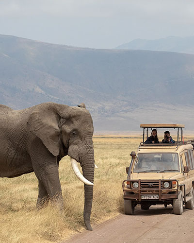 Ngorongoro Crater Tanzania