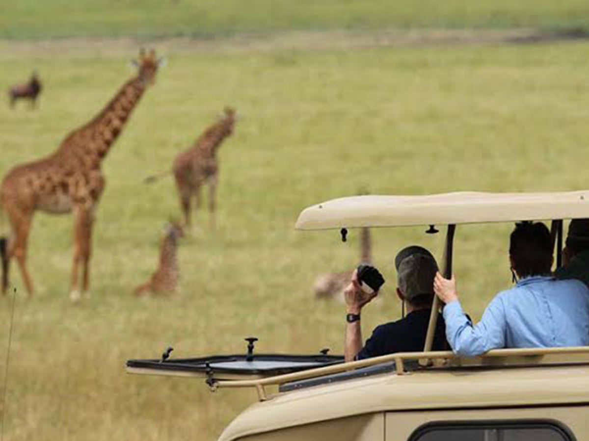 3 Days Akagera Wildlife Safari