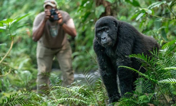 12 Days Uganda Safari Holidays