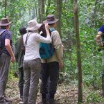 Guided Forest Walks in Kibale Forest