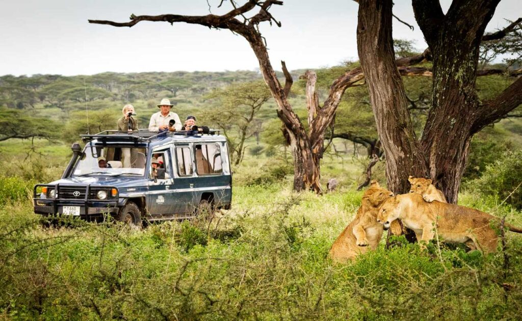 Uganda safaris tour holidays