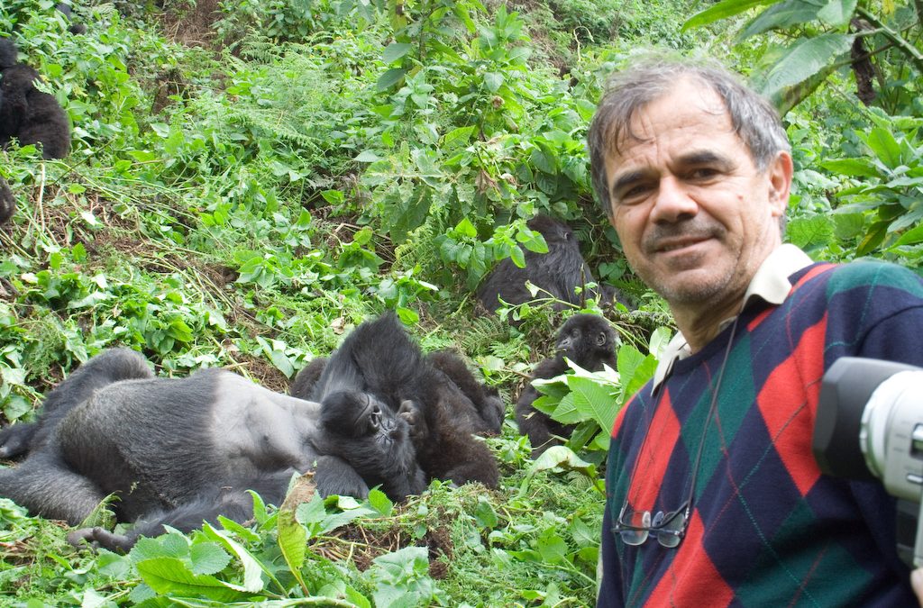 10 Day Bwindi and Masai Mara
