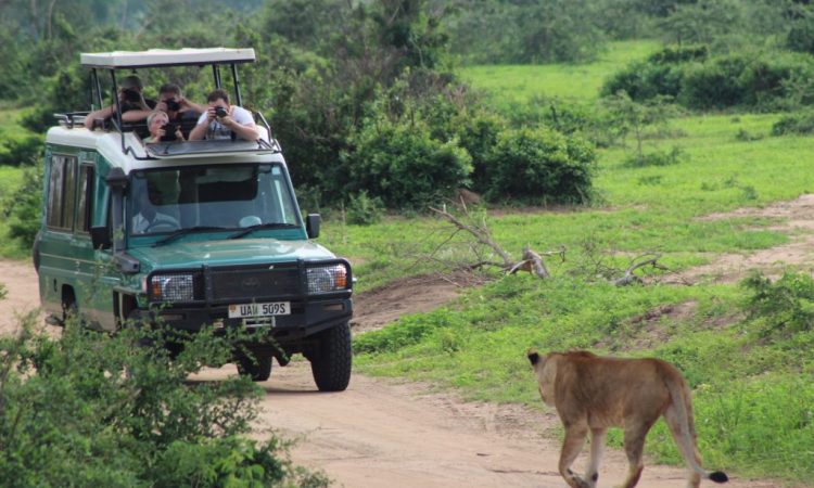 Murchison Falls National Park