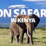 Why Come to Kenya