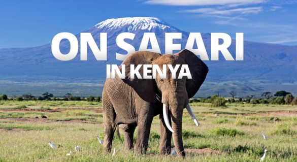 Why Come to Kenya