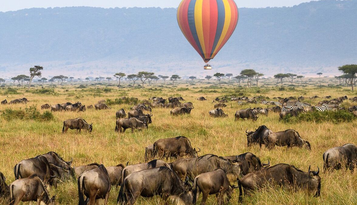 Best time to Visit Tanzania