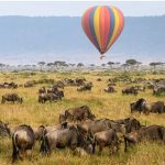 Best time to Visit Tanzania