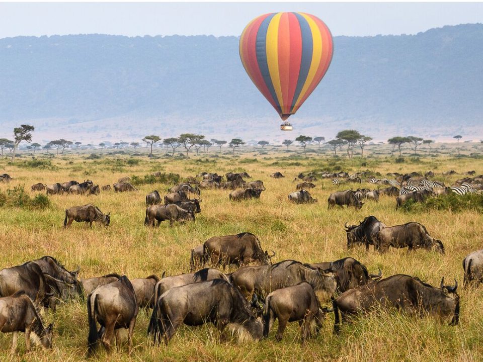 Best time to Visit Tanzania