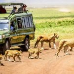 best months to go to Tanzania