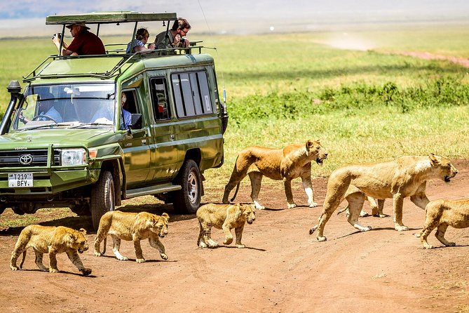 best months to go to Tanzania