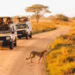 Why Visit Tanzania