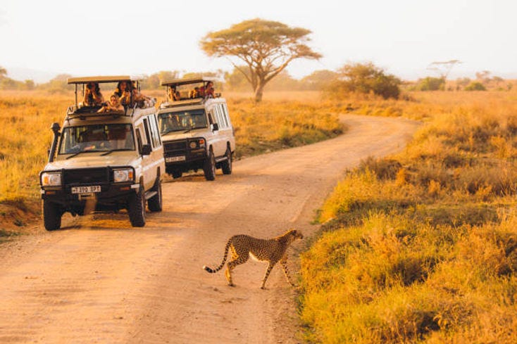 Why Visit Tanzania