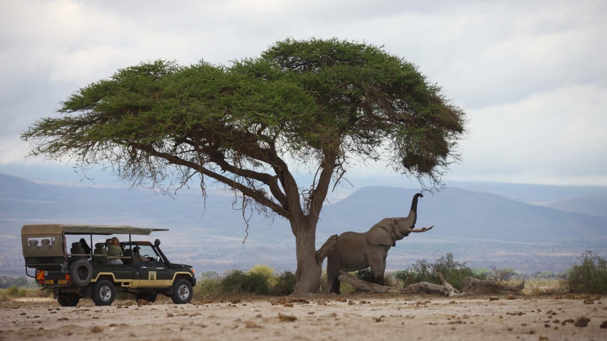 Guide for Kenya Safari Holidays