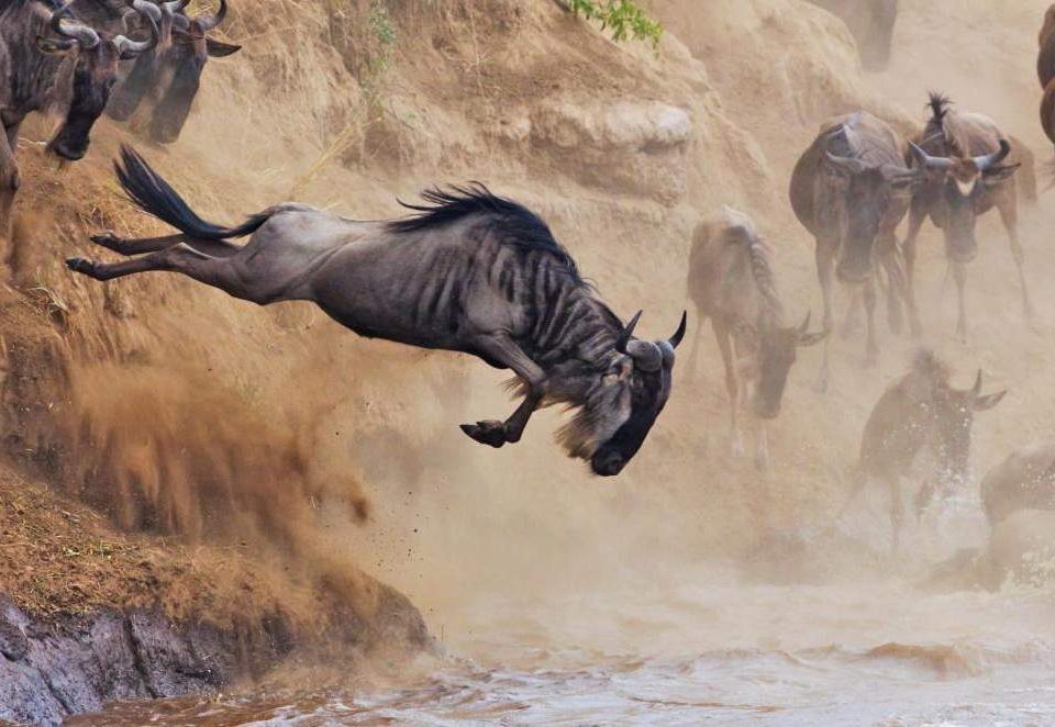 Great Migration Africa