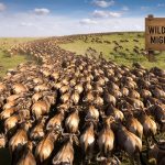 Where is the great wildebeest migration